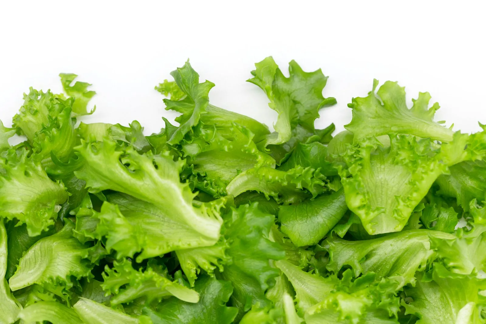 Come lavare bene l'insalata: guida pratica alla disinfezione