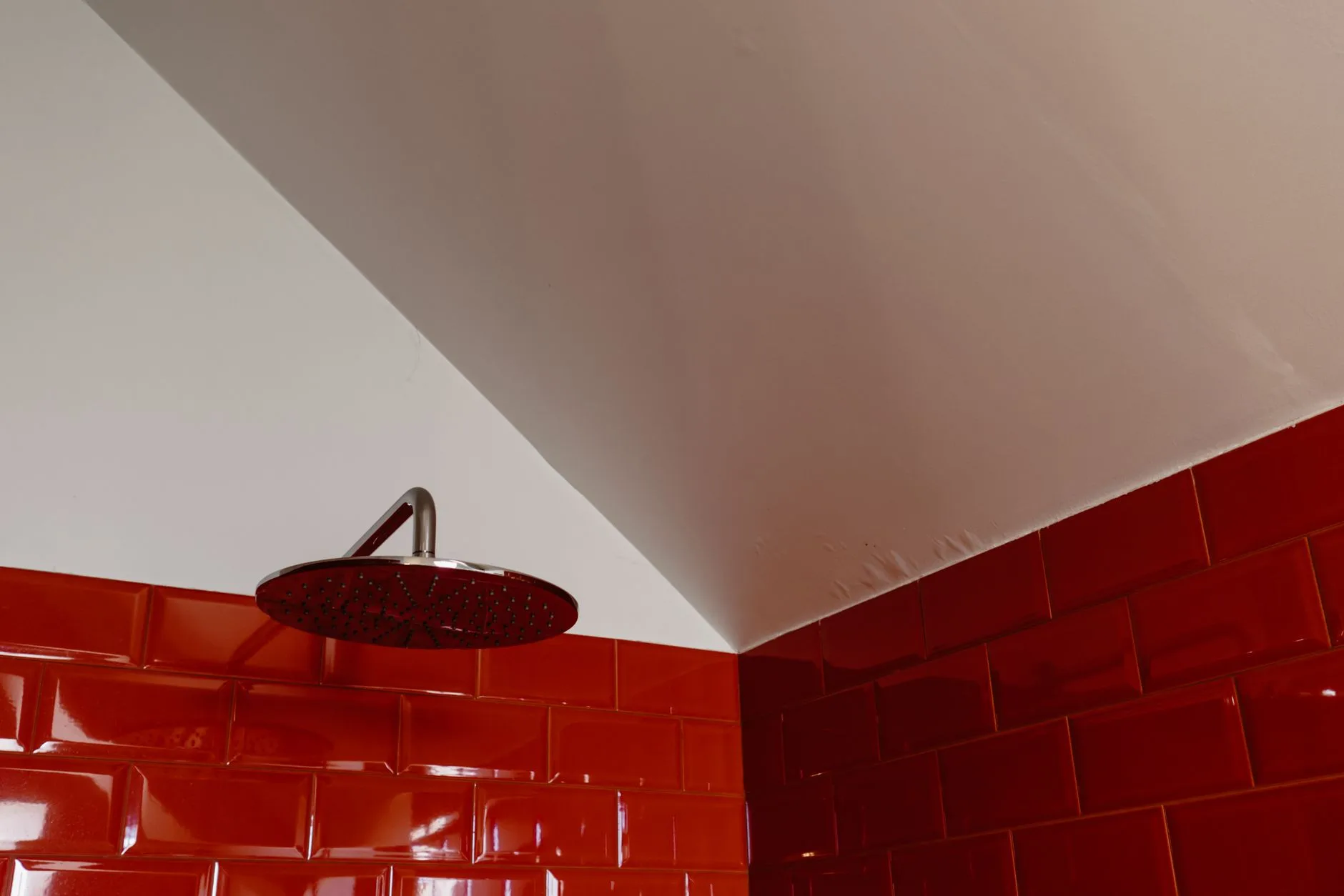 Muffa in bagno: come prevenirla in modo efficace
