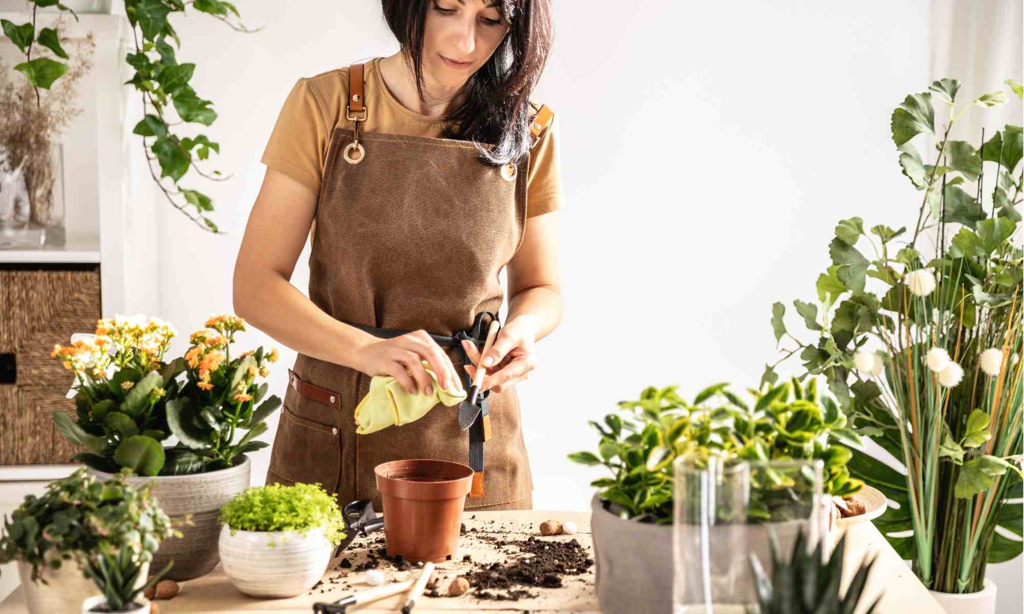 Realizzare un giardino fai da te: consigli utili per iniziare